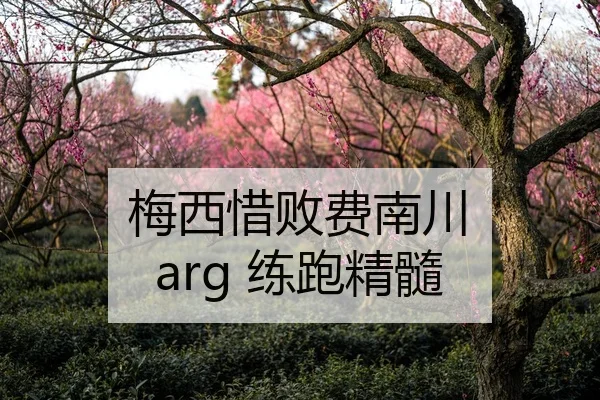 梅西惜败费南川 arg 练跑精髓