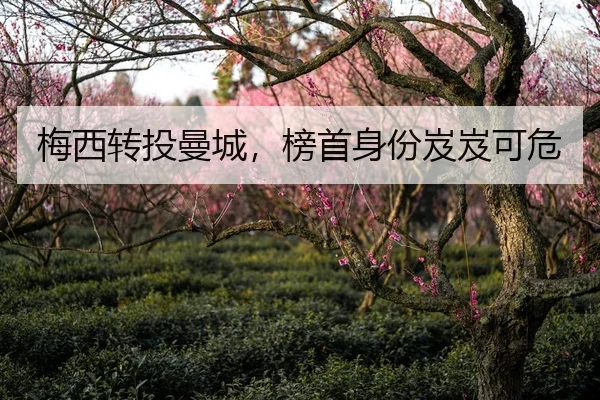 梅西转投曼城，榜首身份岌岌可危 - kai-yunsports
